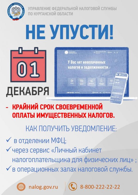 1 декабря - крайний срок уплаты имущественных налогов