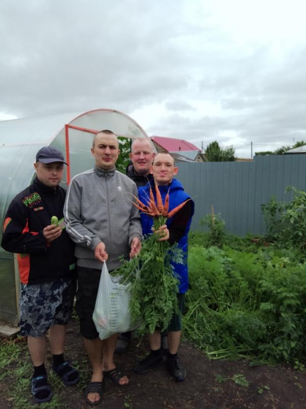  ОВОЩИ К СТОЛУ ВЫРАЩИВАЮТ САМИ