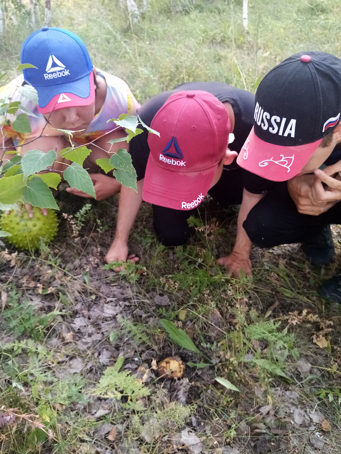 КТО В ЛЕСУ ЖИВЕТ, ЧТО В ЛЕСУ РАСТЕТ?..